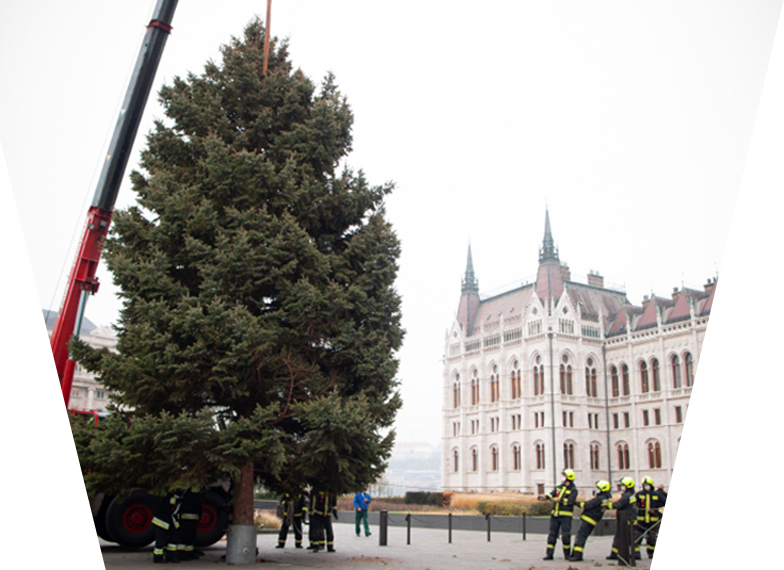 Ország Karácsonyfája